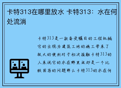 卡特313在哪里放水 卡特313:水在何处流淌 卡特313在哪里放水 卡特313:水在何处流淌